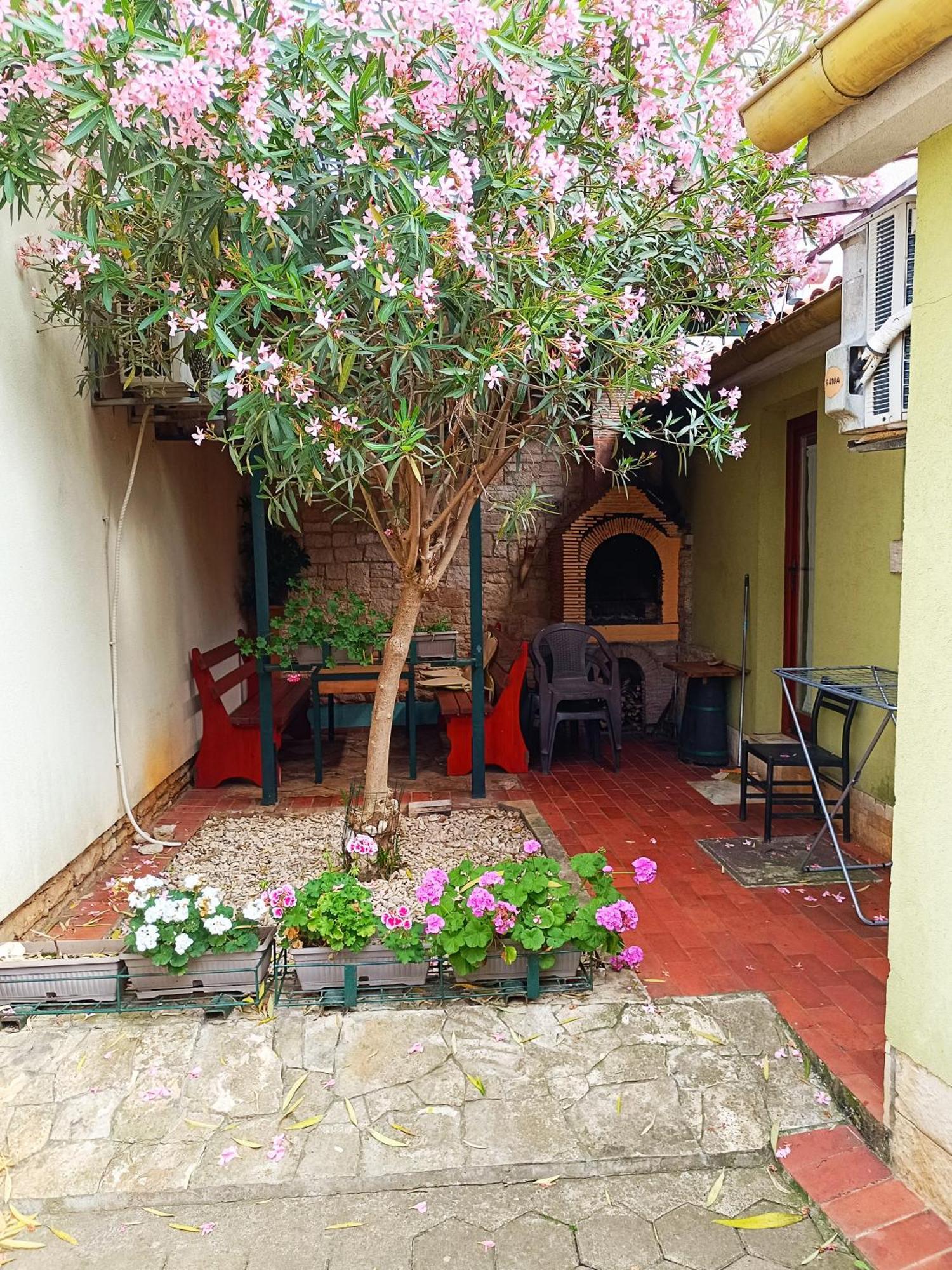 Casetta Olivetta